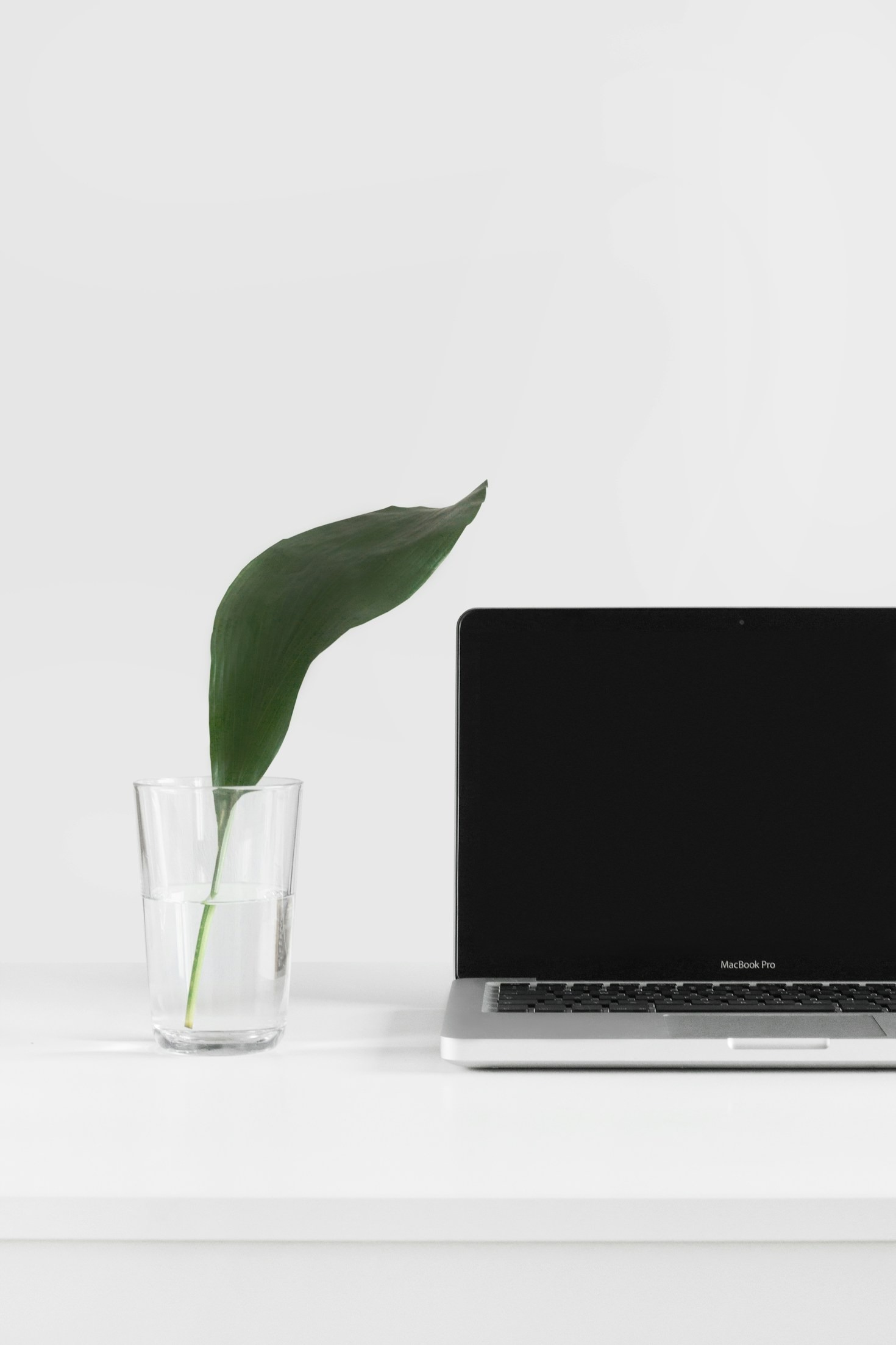 The Art of Showcasing Your Achievements Online